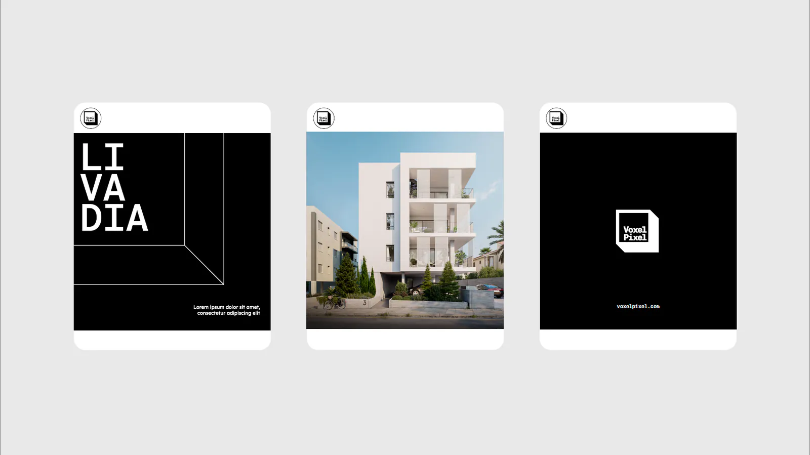Carrusel de redes sociales de Voxel Pixel para el proyecto Livadia en blanco y negro, diseño de Follow Me Agency